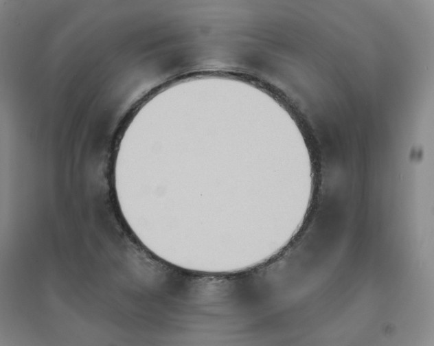 X0000094421314200711151311