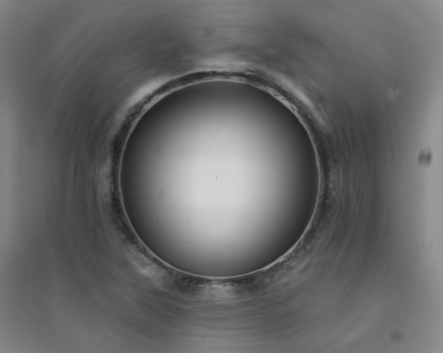 X0000094421315200711151311