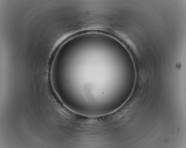 X0000094421316200711151311