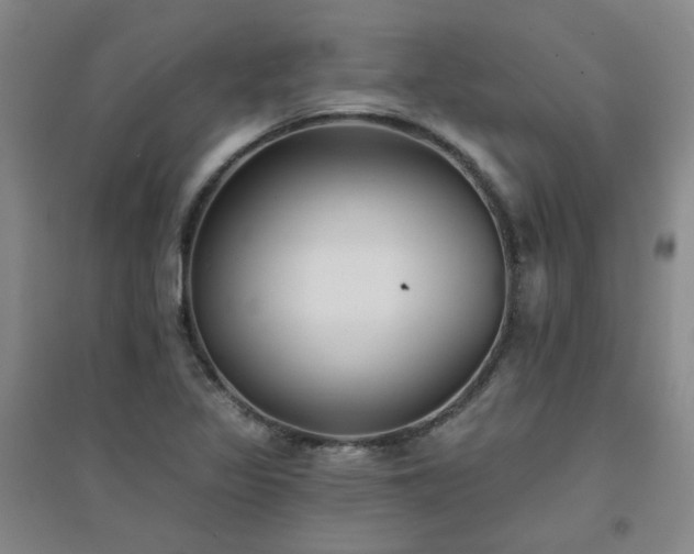 X0000094421317200711151311