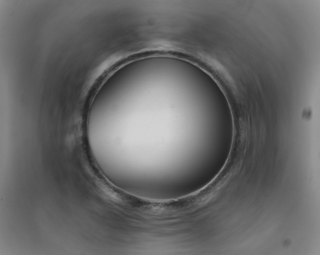 X0000094421318200711151311