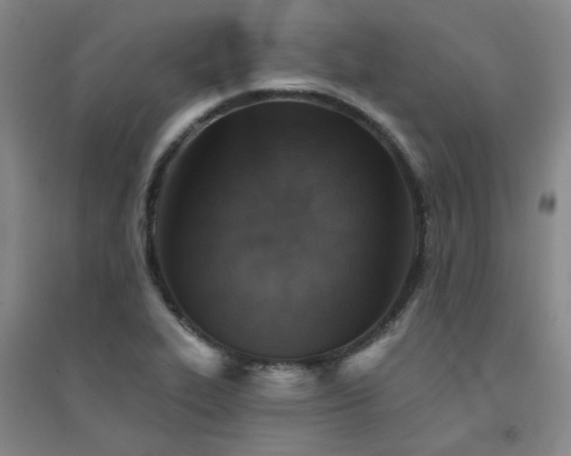 X0000094421319200711151311