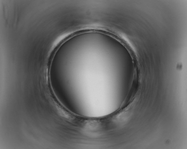 X0000094421320200711151311