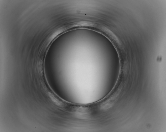 X0000094421321200711151311