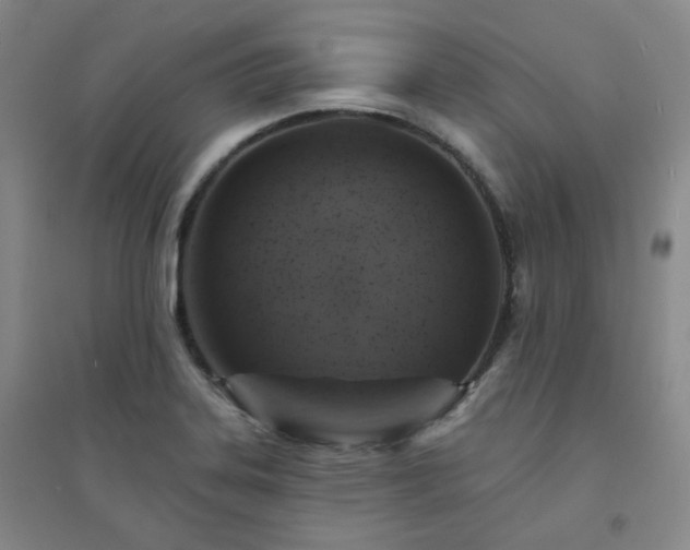 X0000094421323200711151311