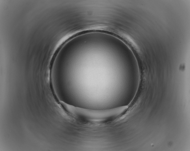 X0000094421324200711151311