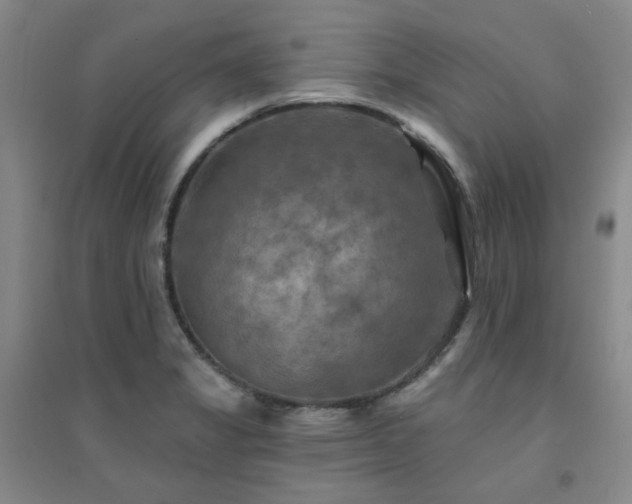 X0000094421325200711151311
