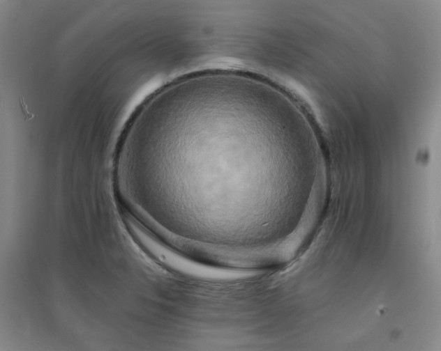 X0000094421326200711151311
