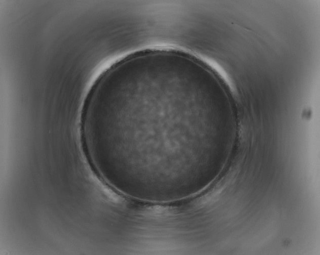 X0000094421327200711151311