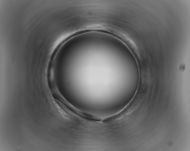 X0000094421328200711151311