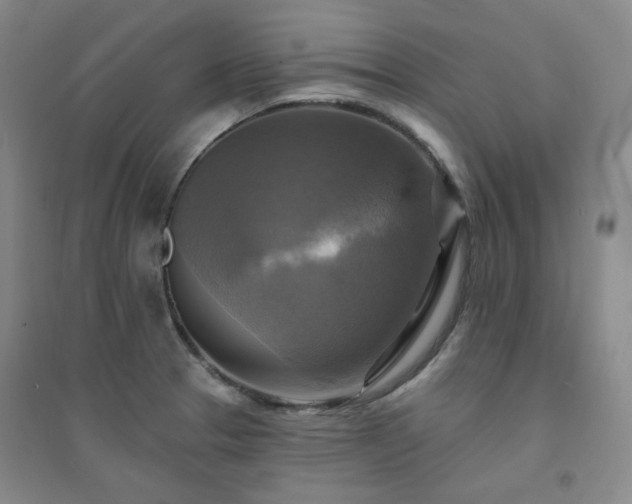 X0000094421329200711151311