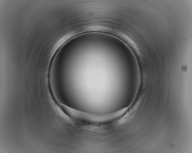 X0000094421330200711151311