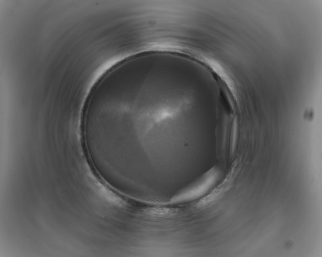 X0000094421331200711151311