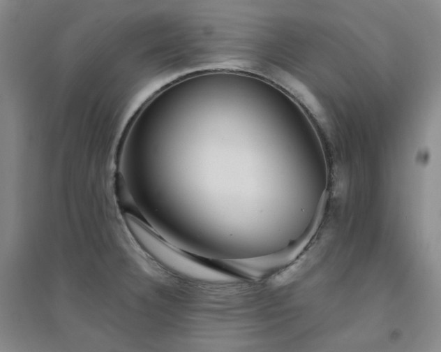 X0000094421332200711151311