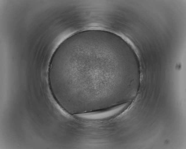 X0000094421333200711151312