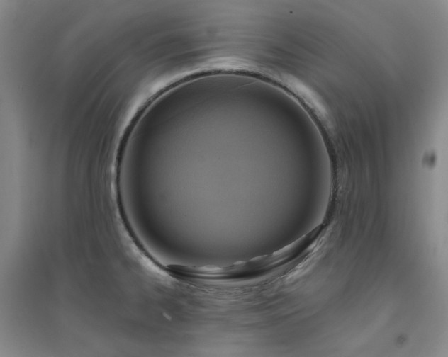 X0000094421334200711151312