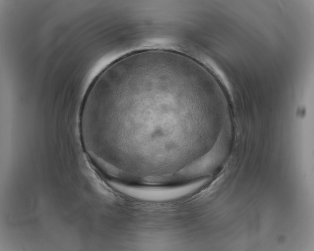 X0000094421336200711151312