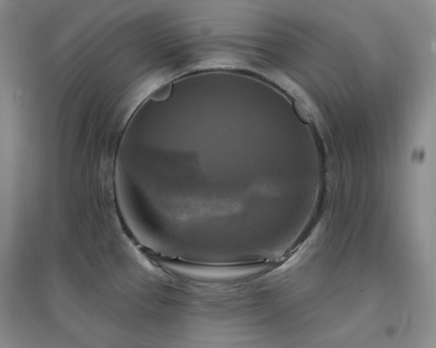 X0000094421337200711151312