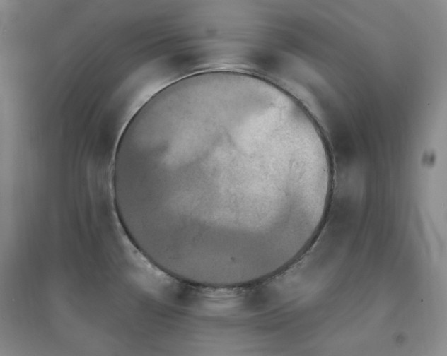 X0000094421338200711151312