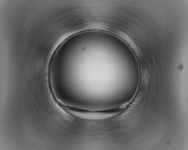 X0000094421339200711151312