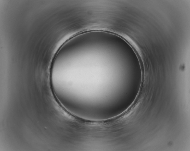X0000094421341200711151312