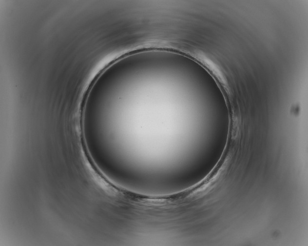 X0000094421342200711151312