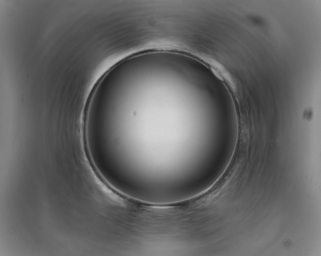 X0000094421343200711151312