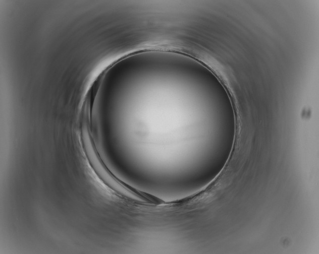 X0000094421344200711151312