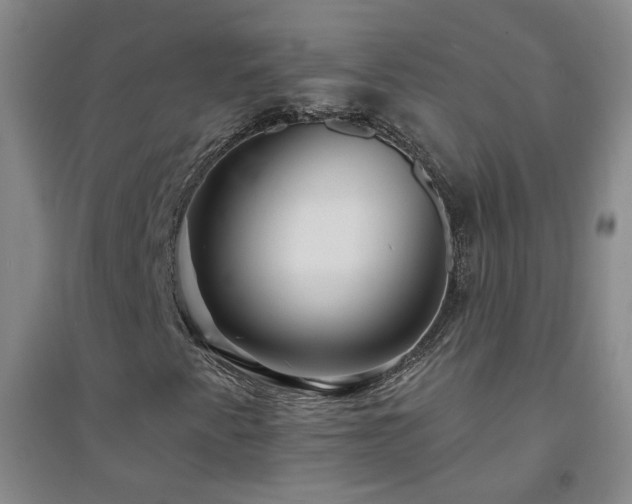 X0000094421345200711151311