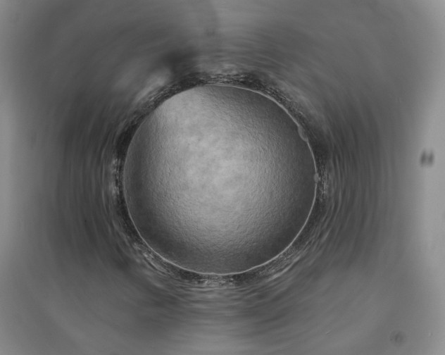 X0000094421346200711151311