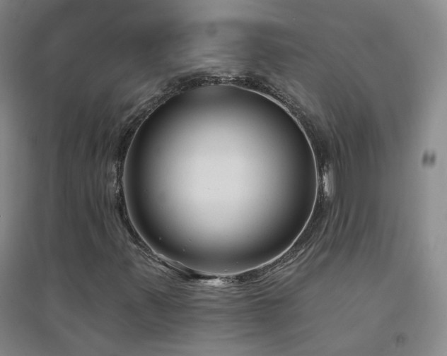 X0000094421347200711151311