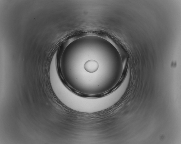 X0000094421348200711151311
