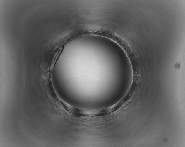 X0000094421349200711151311