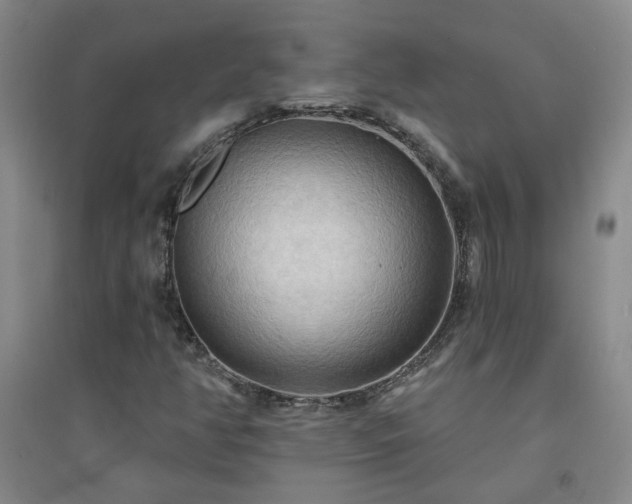 X0000094421350200711151311