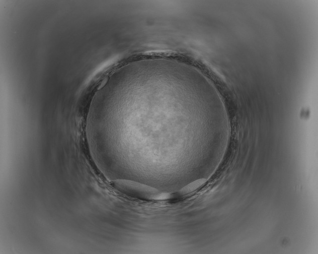 X0000094421351200711151311