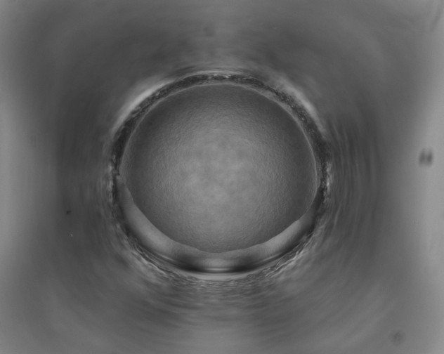 X0000094421352200711151311