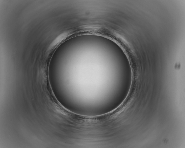 X0000094421354200711151311