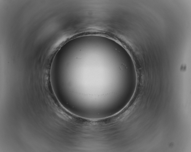 X0000094421355200711151311