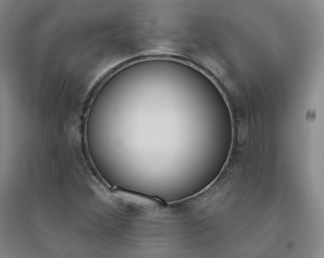 X0000094421356200711151311