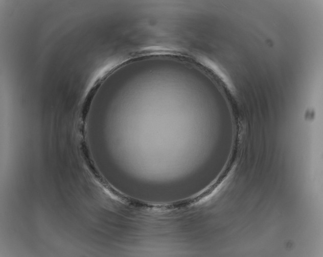 X0000094421357200711151311