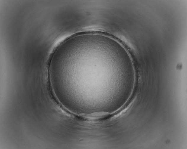 X0000094421358200711151311