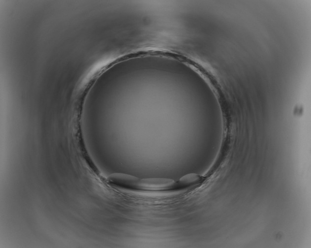 X0000094421359200711151311