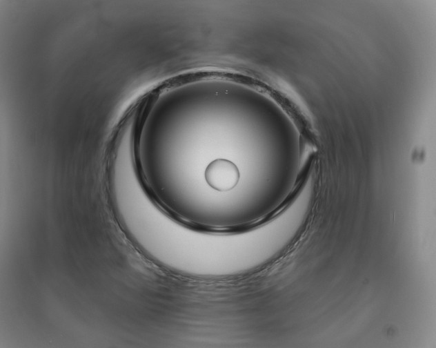 X0000094421360200711151311