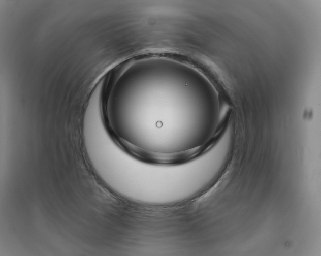 X0000094421361200711151311
