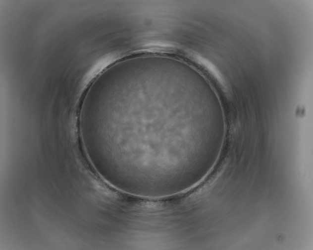 X0000094421362200711151311