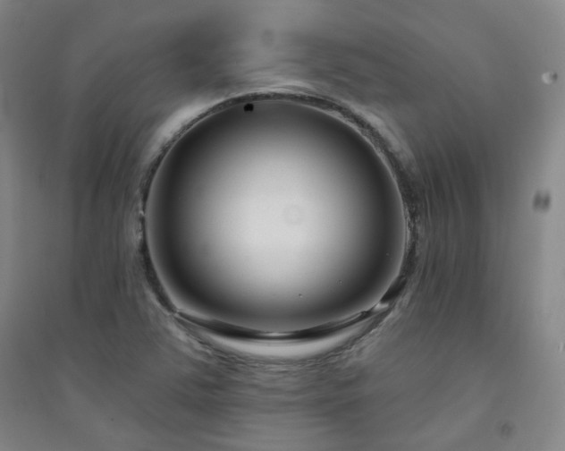 X0000094421363200711151311