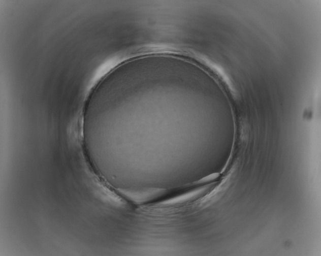 X0000094421365200711151311
