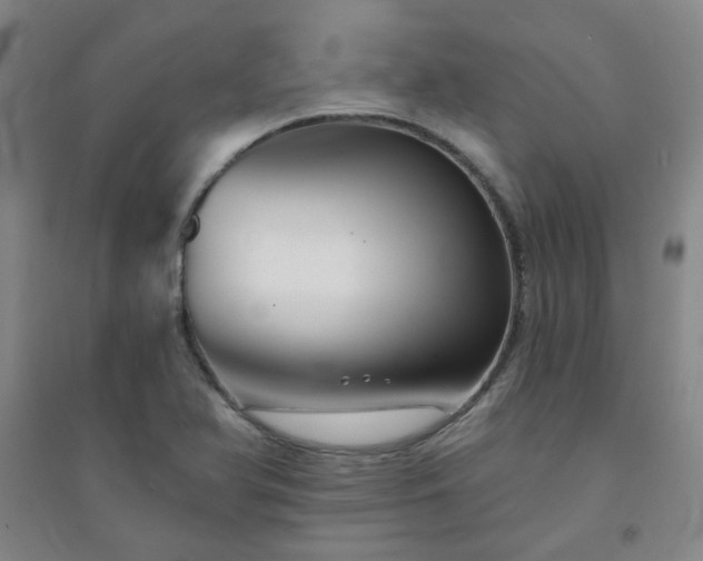 X0000094421366200711151311