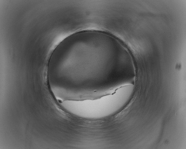 X0000094421367200711151311