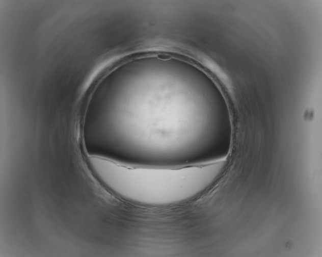 X0000094421368200711151311